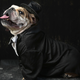 Illustration for article titled Things May Be Terrible, But This Dog Wedding Sounds Pretty Sweet